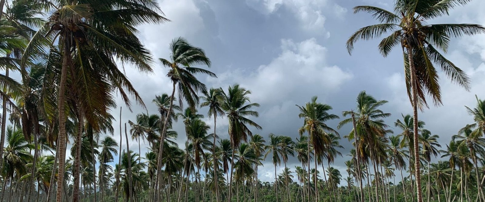 ley-confotur-república-dominicana-inversionista