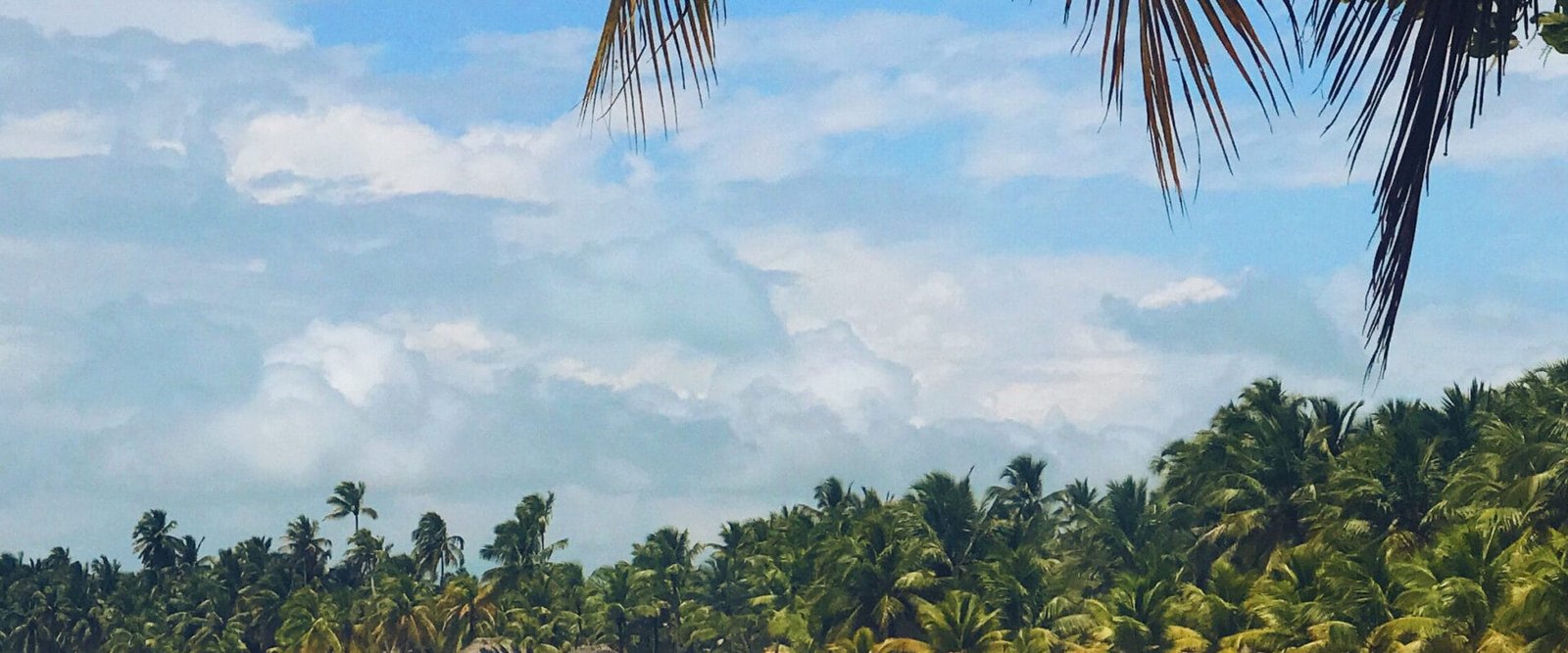 invertir-en-la-república-dominicana